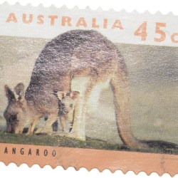 Postal Stamp of Australia - Kangaroo Multi-Colour 45 Cents - Un-Used Condition as per Image.