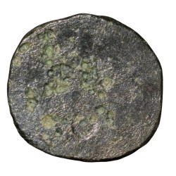 Alternative view of Potin Coin of Kadambas of Banavasi(AD325-620) with Sankha within dotted circle Rare