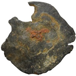 Alternative view of Potin Coin of Kadambas of Banavasi(AD325-620) with Sankha within dotted circle Rare