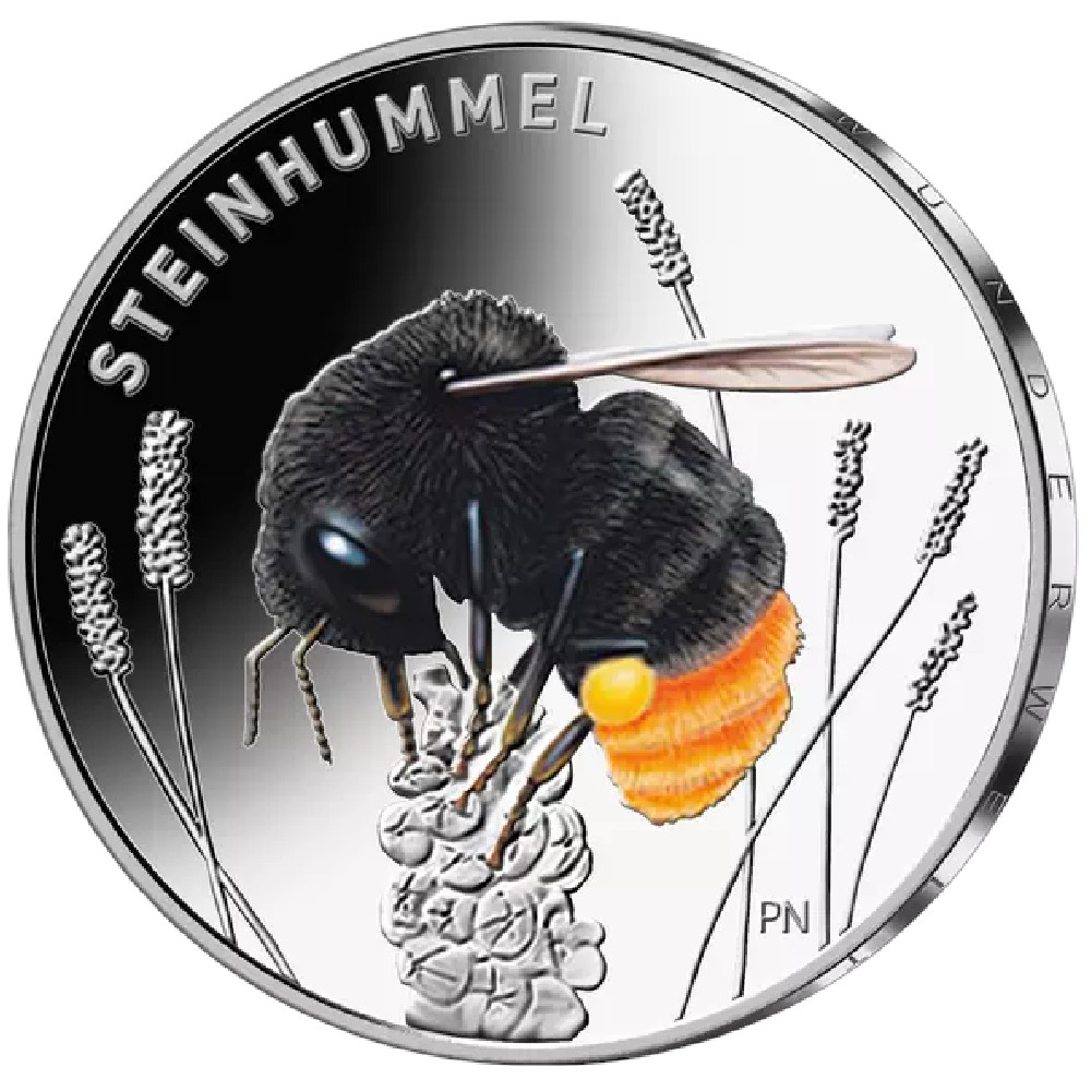 Germany 5 Euro 2024 Coloured UNC Coin #AA-7