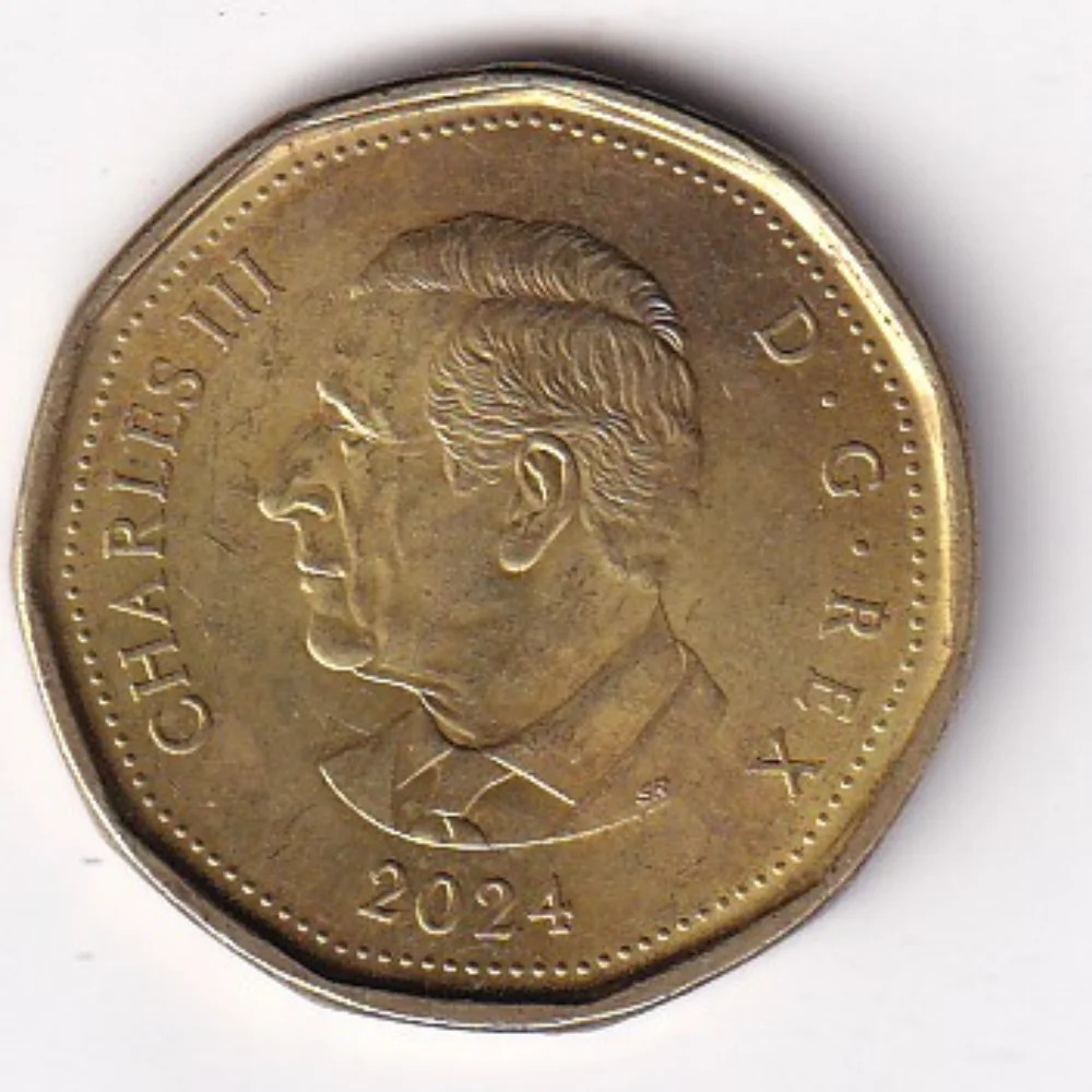 Canada 1 Dollar (2024) Rare Coloured Coin