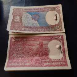 Reserve Bank of India Denominaton 2₹ bundle TWO DIFFERENT VARIETY 1 Satelite 2 Standing Tiger Full Bundle Each 100 Notes