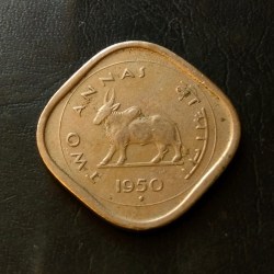 Alternative view of Bull Coin Rare 2 anna year 1950