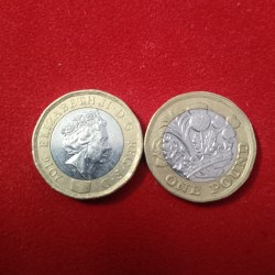 Queen Elizabeth One Pound Coin 5 Pcs Given