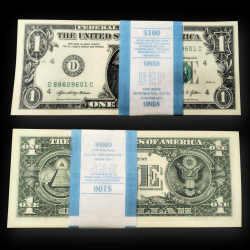 Rare 1 Dollar GEM UNC Serial Packet 100 Notes Bundle