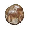 Copper coin of Satakarni I of Satavahana Dynasty(1st Cen.BC) from Marathwada Region with Elephant/Ujjaini Type