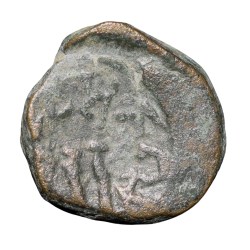 Alternative view of Copper Coin of Vasunaga of Nagas of Narwar (3rd - 4th Cen. AD) with Peocock/Brahmi Legends Very Rare