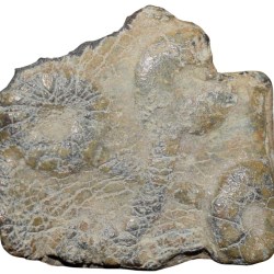 Alternative view of Lead Coin of Satavahan Dynasty (1st Cen. BC) from Vidarbha Region with Elephant Facing Right/Ujjaini Symbol