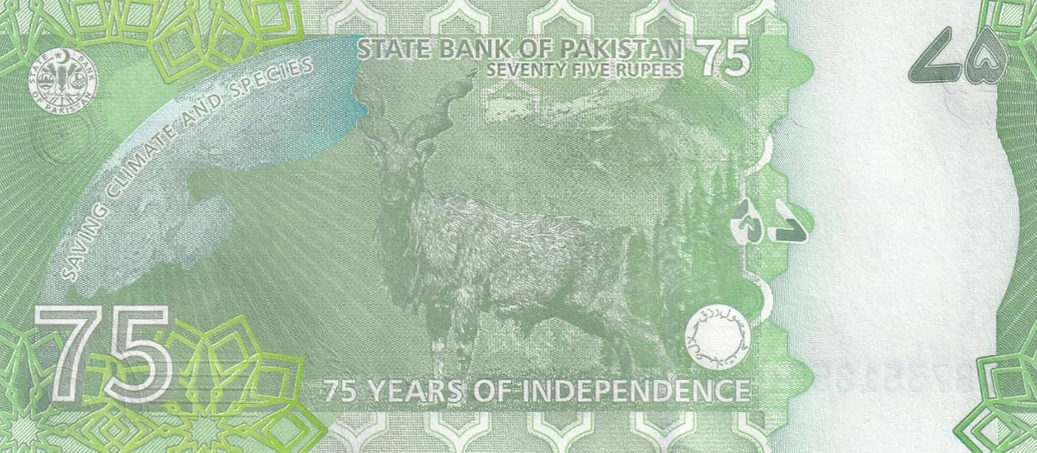 Pakistan 75 Rupees Commemorative Independence Rare Banknote - Image 2