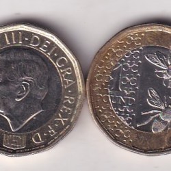 United Kingdom 1 Pound - Charles III Honey Bees Rare Bimetallic Coin #AA-142