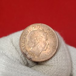Alternative view of Queen Elizabeth Two Pence Tiger Coin 2008 Year