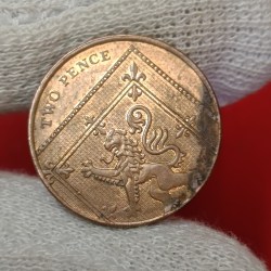 Queen Elizabeth Two Pence Tiger Coin 2008 Year