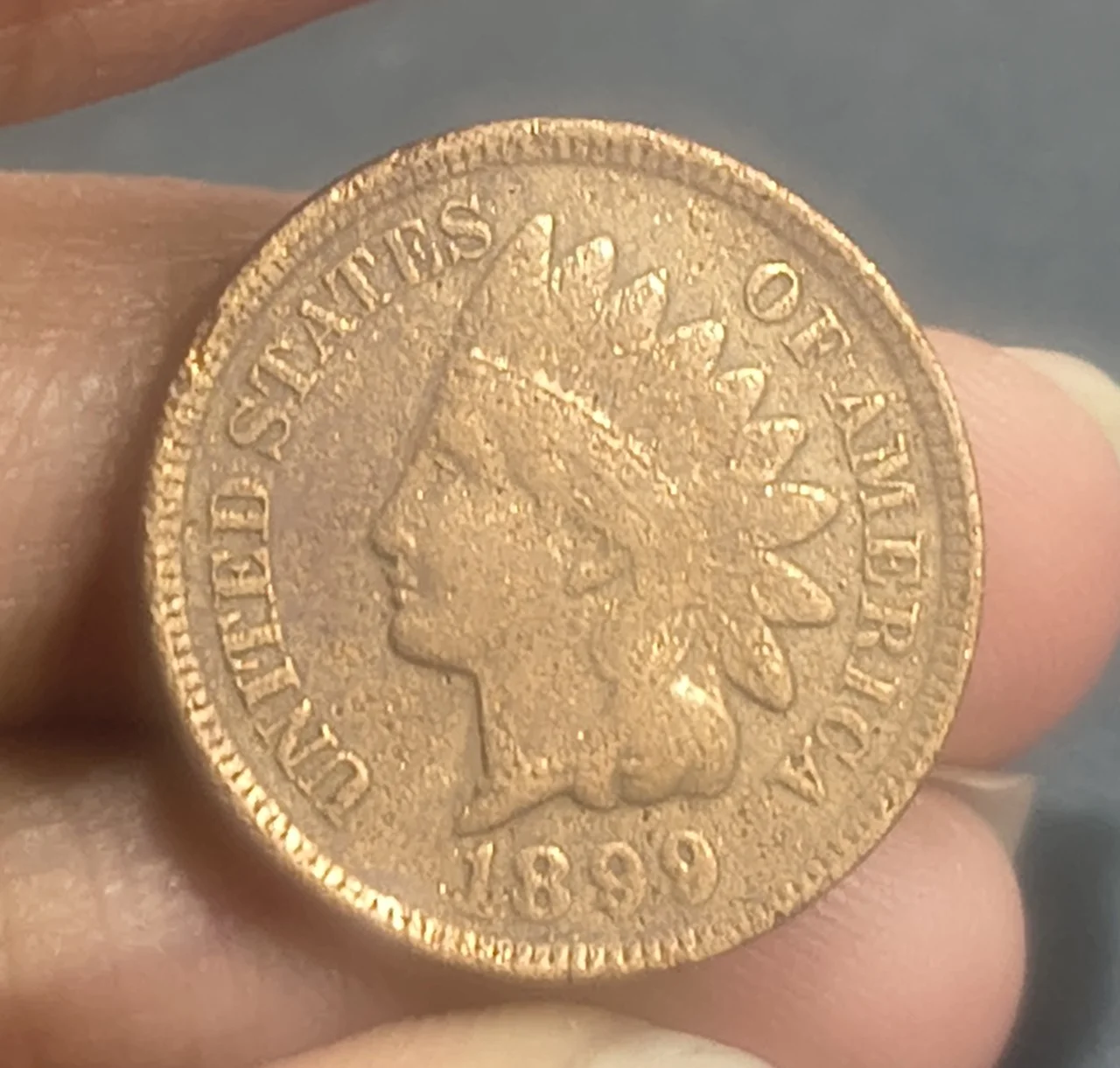 United States 1 Cent 1899 "Indian Head Cent" Rare Coin