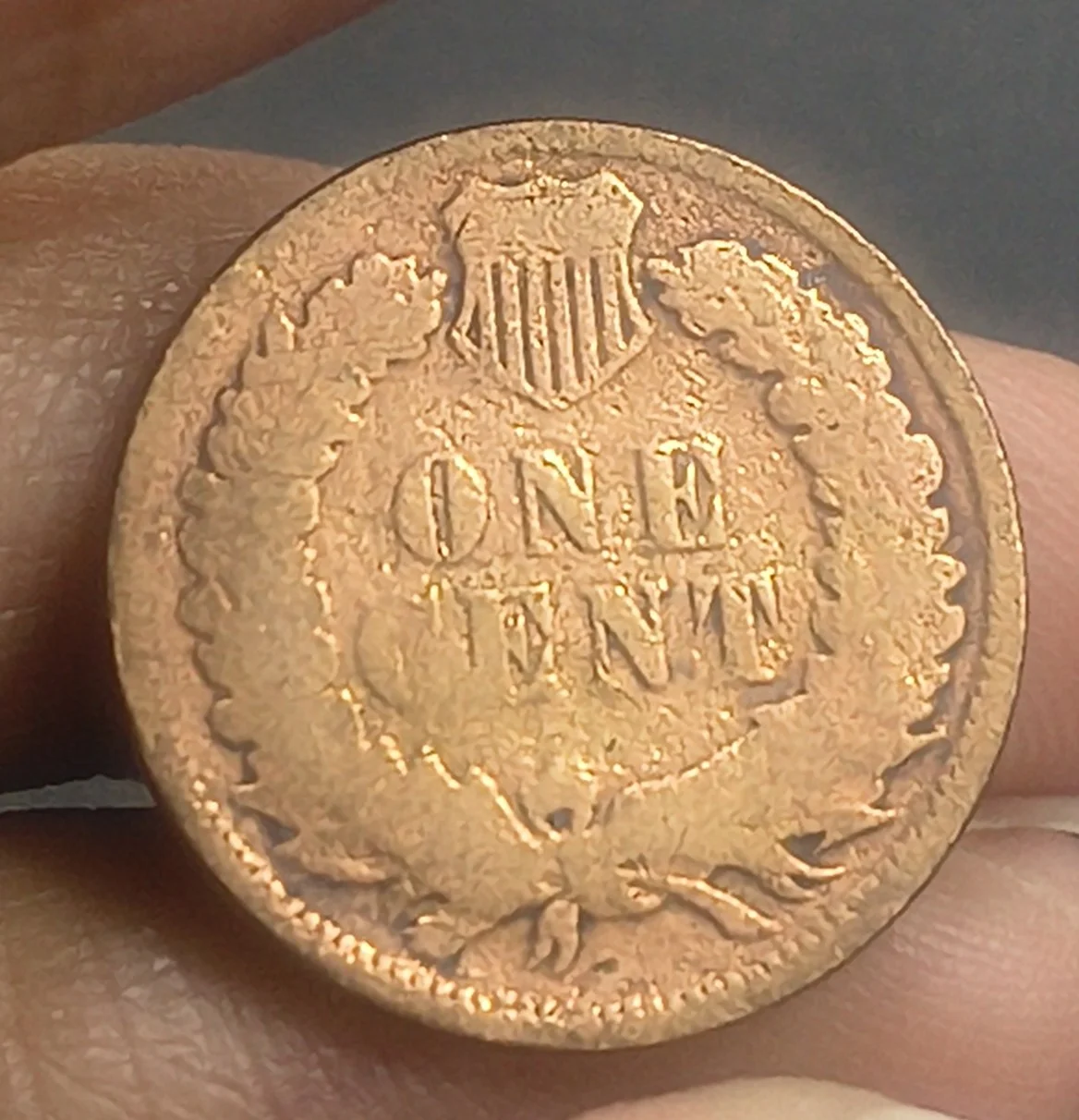 United States 1 Cent 1895 "Indian Head Cent" Rare Coin