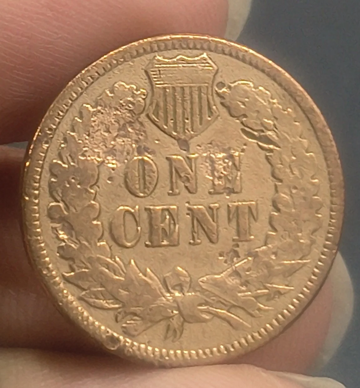 United States 1 Cent 1892 "Indian Head Cent" Rare Coin