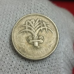 Alternative view of Queen Elizabeth One Pound DG ReG 1985 Year
