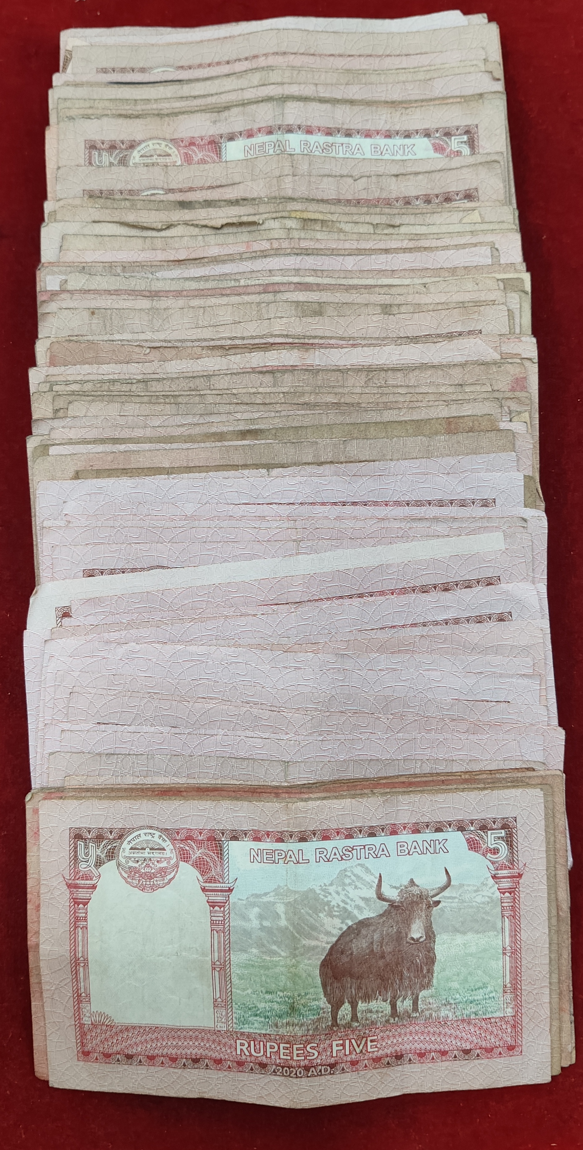 Nepal 5 Rupees Used Condition (112 Pcs Lott) Rare - Image 2