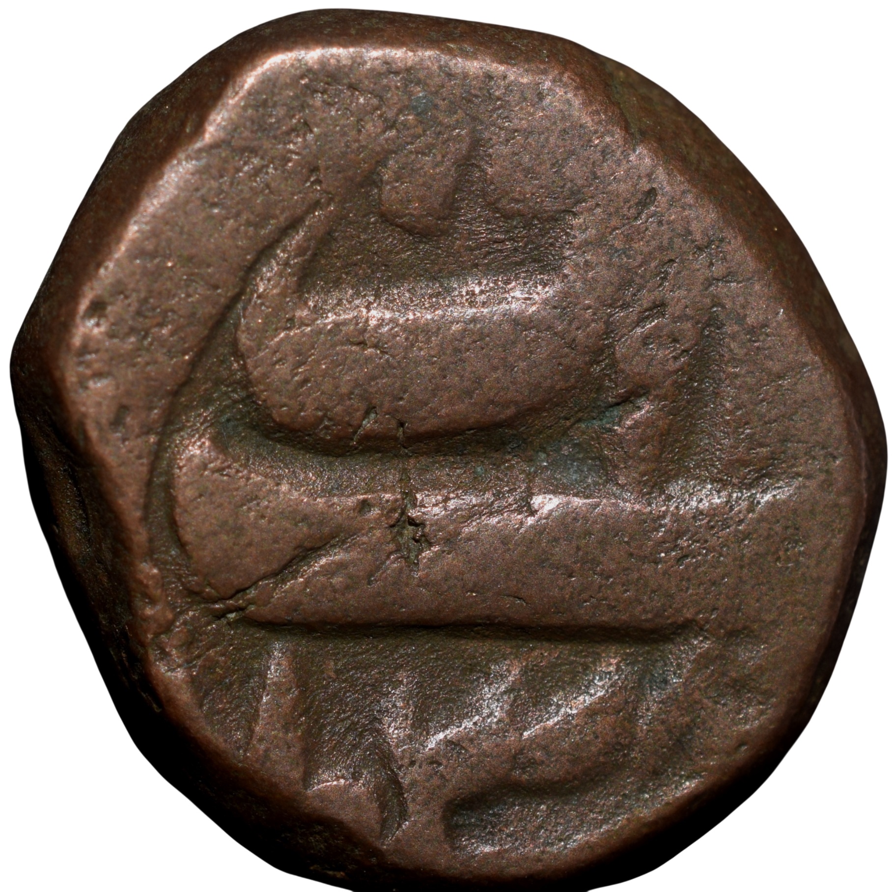 Copper Dam of Shah Jahan(AD1628-1658) of Bairata Mint Dated AH1038 Rare - Image 2