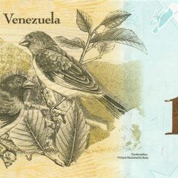 100,000 Bolivares of Venezuela (AD 2017) with Cardenalito (Red siskin) Bird UNC Grade
