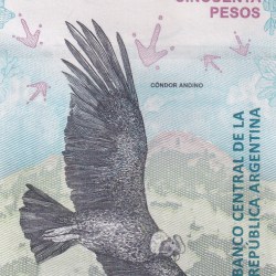 Alternative view of Argentina 50 Pesos Rare Note with Semi-Fancy 7086 number #B2