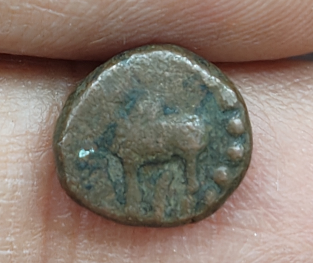 India (ancient) › Malwa Plateau › Naga dynasty of Narwar 1 Kakini Nagas Rare (Years 200-340) Coin #E-194