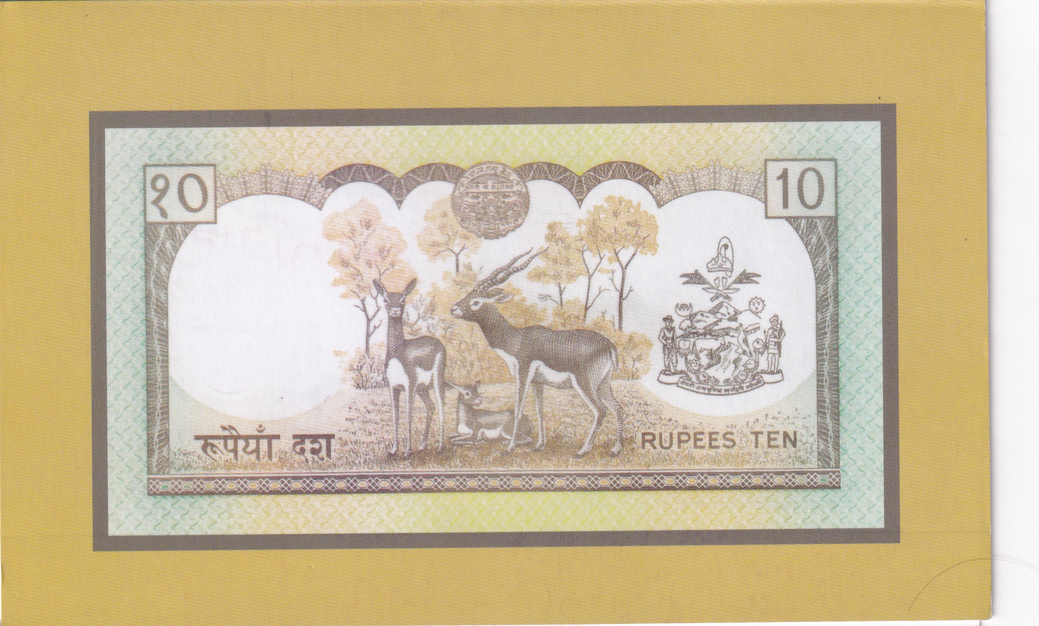 Nepal 10 Rupees Rare Note with Beautiful Folder Packaging