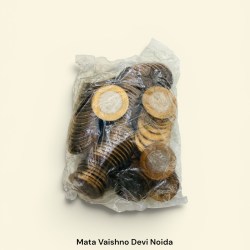 Rs 10 RBI Seal 100 Coin Pouch Mata Vaishno Devi Noida Mint Rare and Unique and Rare