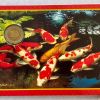 1997 Singapore Uncirculated 6 Coin Set With Beautiful Folder Packaging - Image 4