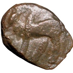 Copper Kakani of Ganapati Naga(c. 3rd Cen. AD) of Nagas Dynasty from Padmavati Bull left Type