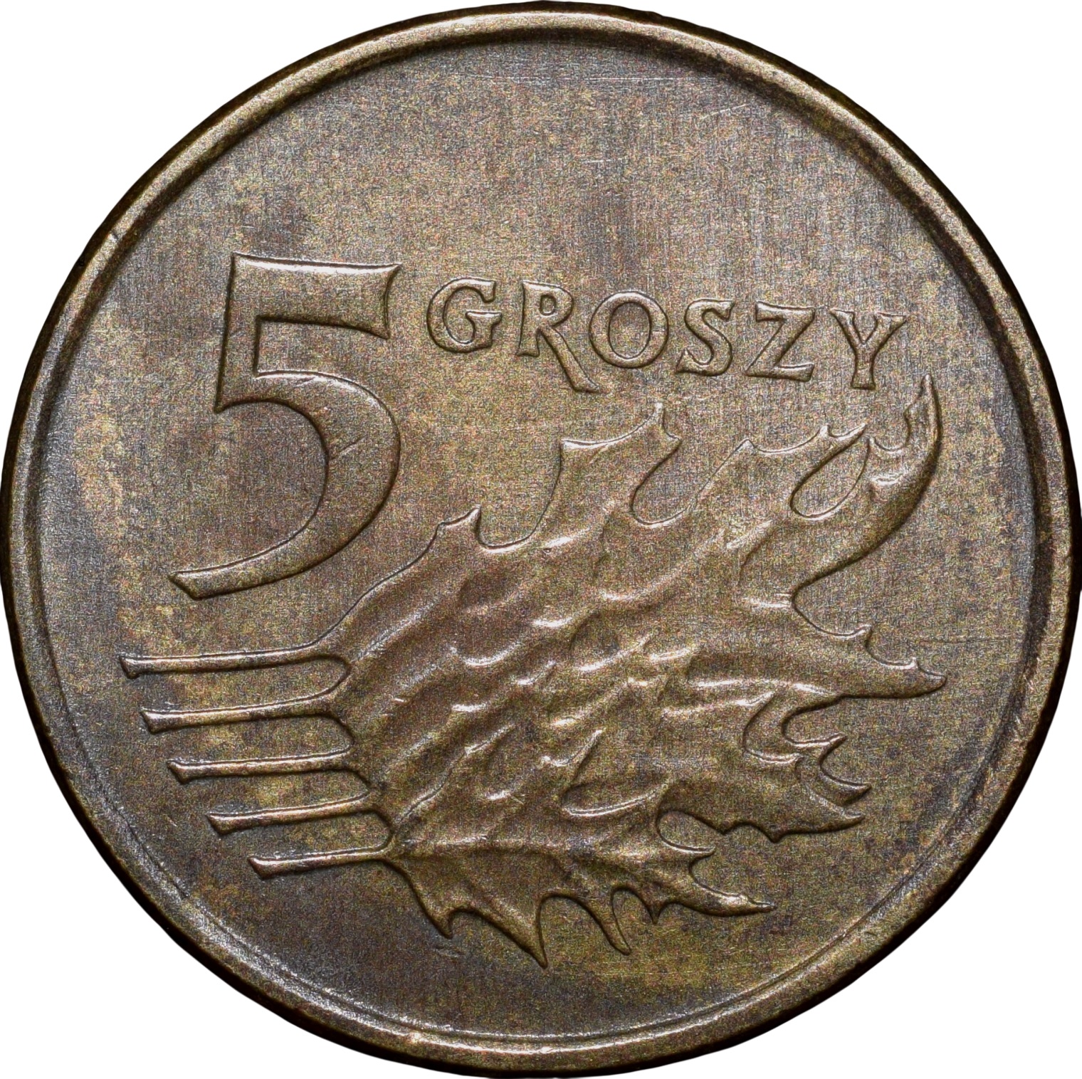Brass 5 Groszy of Poland Country (AD 2010) with Crowned Eagle/An Oak Leaf - Image 2