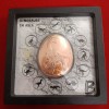 Dinosaurs In Asia BEIPIAOSAURUS Elizabeth 20 Cents Samoa Proof Coin 2022 Year - Image 4