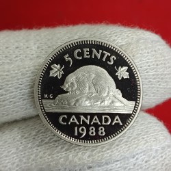 Alternative view of Elizabeth II DG Regina 5 Cents Proof Coin 1988 Year Royal Canadian Mint