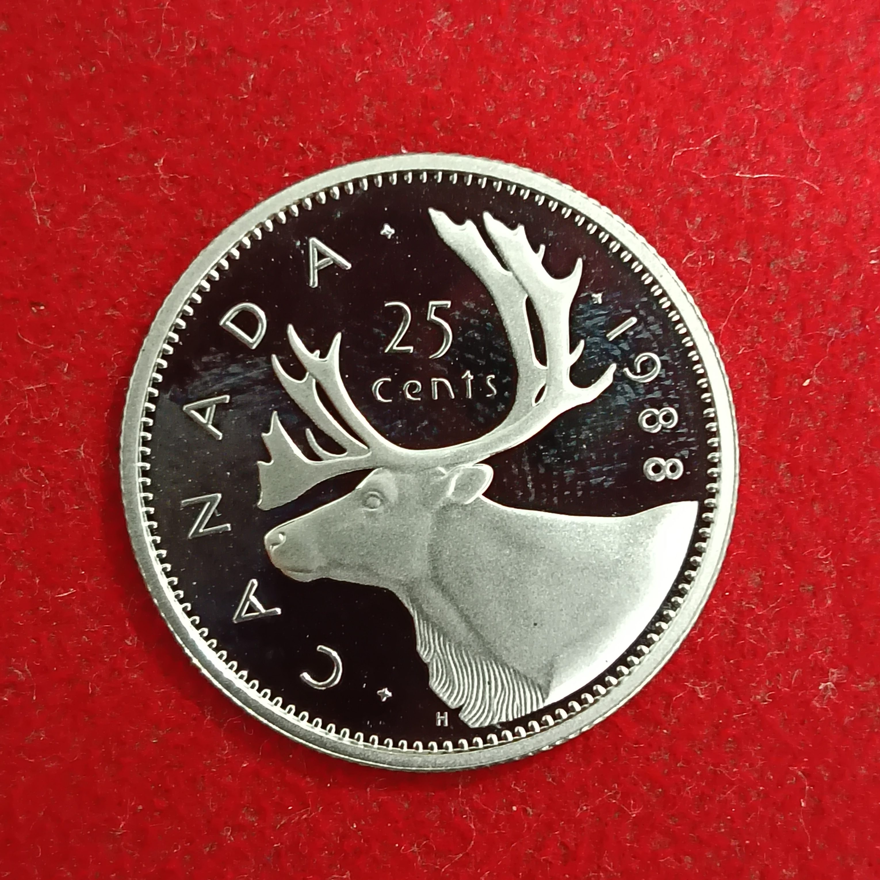 Elizabeth II DG Regina 25 Cents Proof Coin 1988 Year Royal Canadian Mint - Image 3