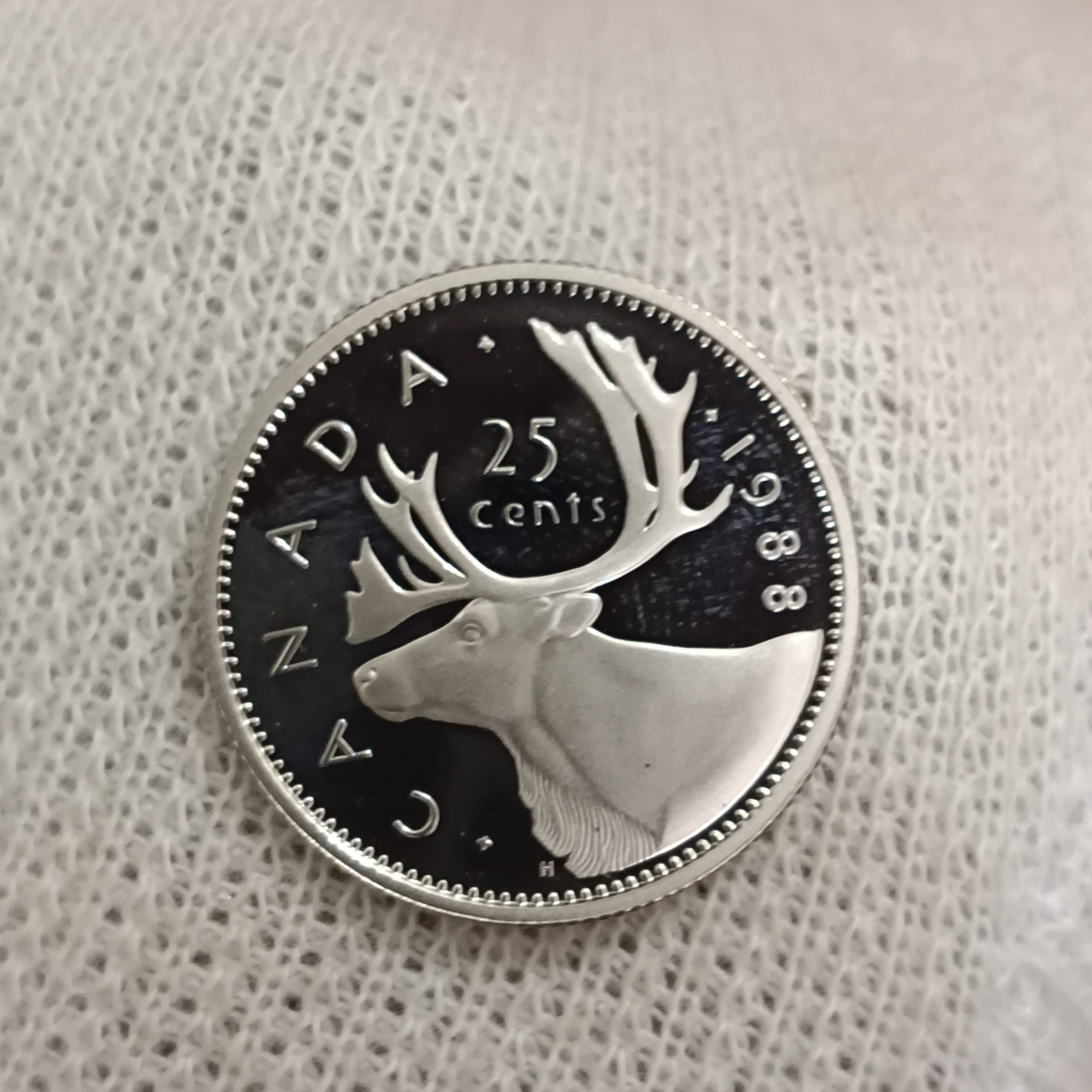 Elizabeth II DG Regina 25 Cents Proof Coin 1988 Year Royal Canadian Mint - Image 2