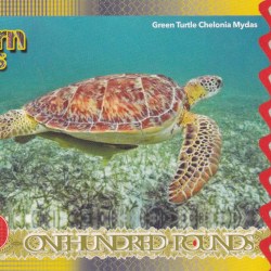 Alternative view of United Kingdom 100 Pounds - Elizabeth II Green Turtle Rare Fantasy Note #B2