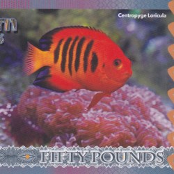 Alternative view of United Kingdom 50 Pounds - Elizabeth II Flame angelfish Rare Fantasy Note #B2
