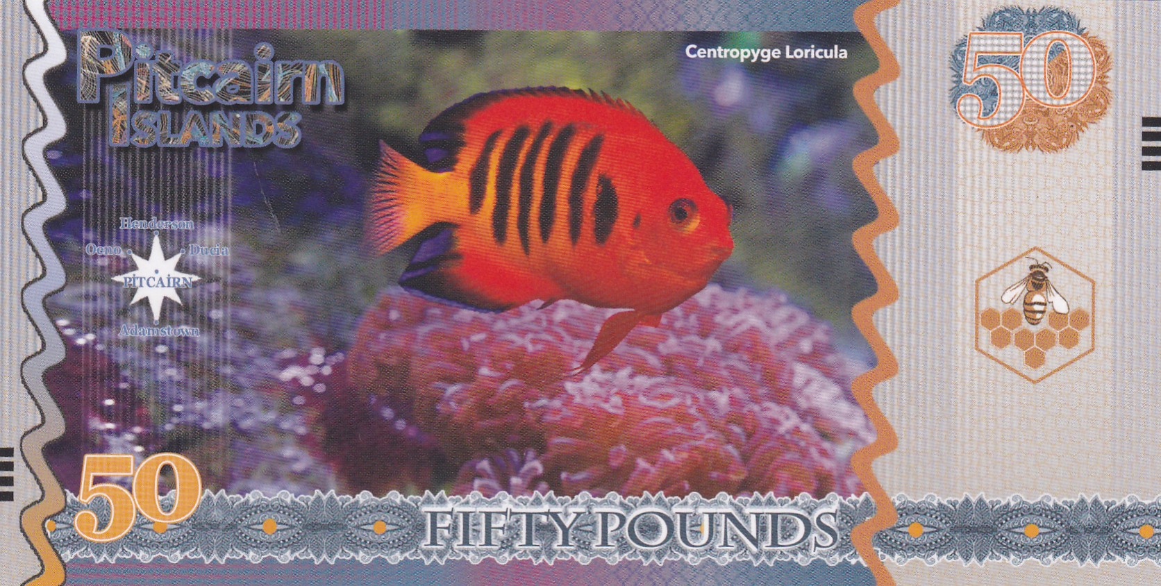 United Kingdom 50 Pounds - Elizabeth II Flame angelfish Rare Fantasy Note #B2 - Image 2