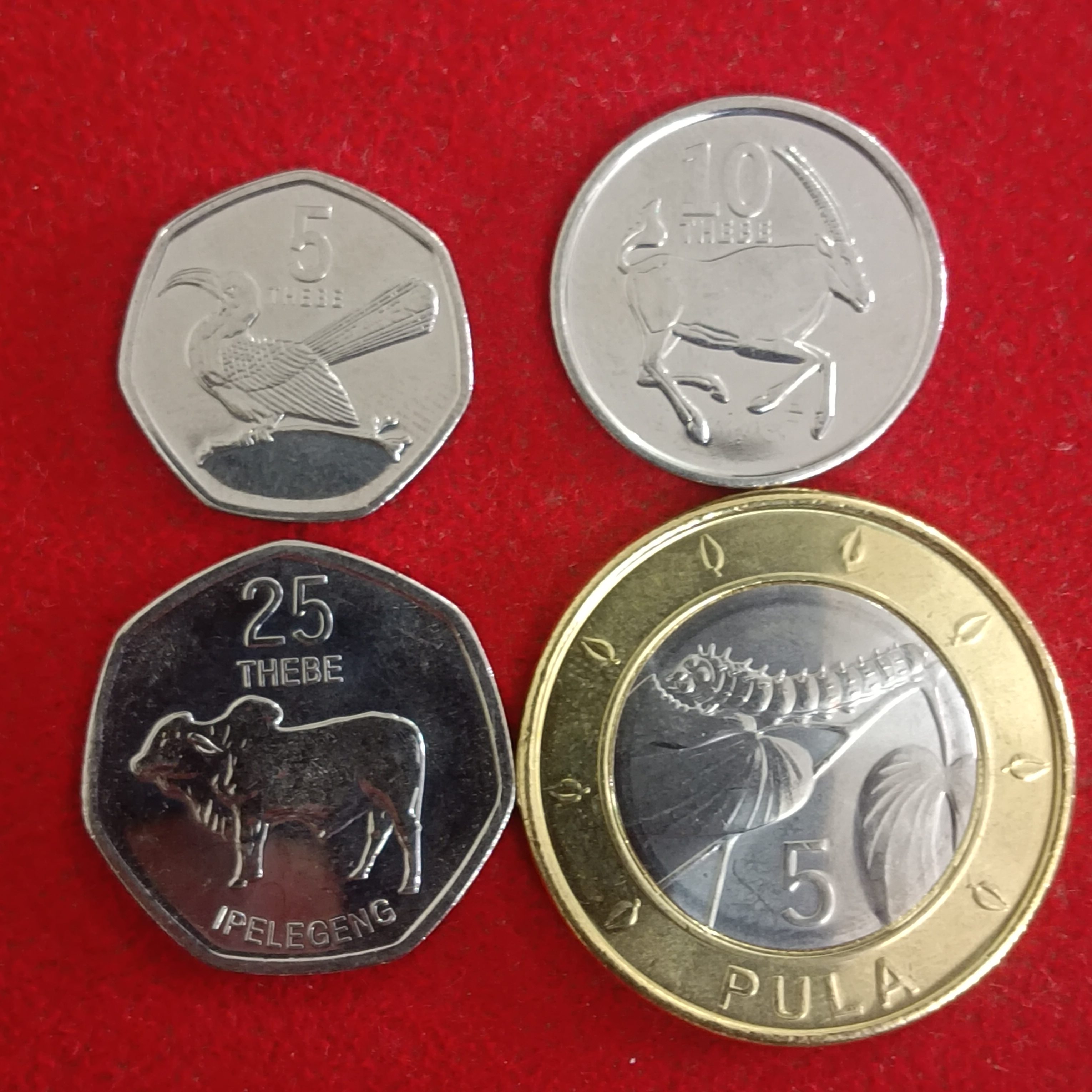 Rare Botswana Ipelegeng Coins Set 5,10,25,50,5,1 PULA 6 Pcs Botswana Unc set Coins