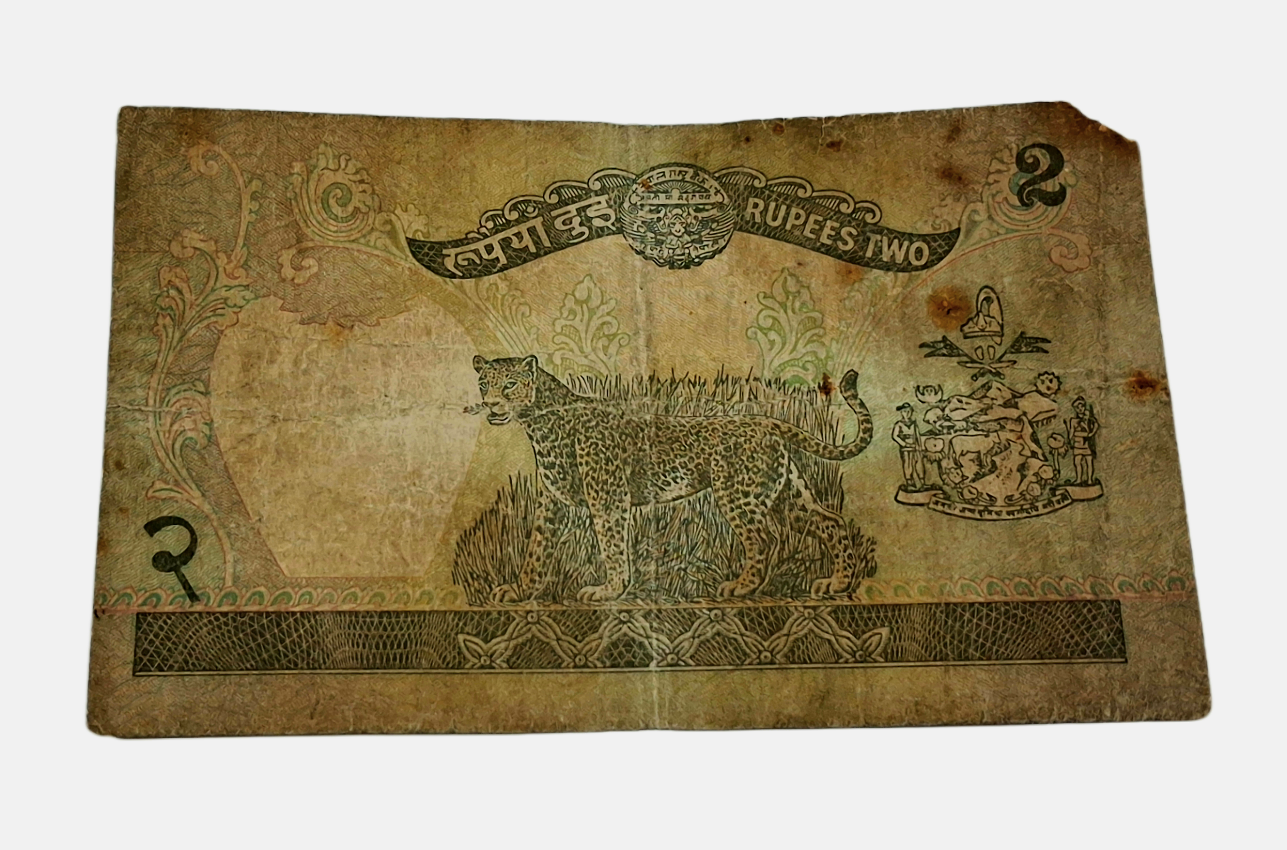 NEPAL 2 RUPEES King BIRENDRA BIR BIKRAM SHAH (Crowned) LEOPARD Back Side Bank Note in Used Condition. - Image 2