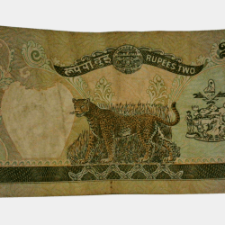 Alternative view of NEPAL 2 RUPEES King BIRENDRA BIR BIKRAM SHAH (Crowned) LEOPARD Back Side Bank Note in Collectable Grade.