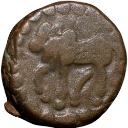 Copper Kakani of Ganapati Naga(c. 3rd Cen. AD) of Nagas Dynasty from Padmavati Bull Type