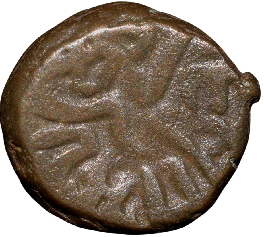 Copper Kakani of Ganapati Naga(c. 3rd Cen. AD) of Nagas Dynasty from Padmavati Bull Type - Image 2