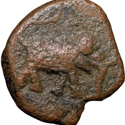 Copper 1/4 Paisa of Tipu Sultan(AD 1787-99) of Mysore Kingdom Patan Mint New Variety
