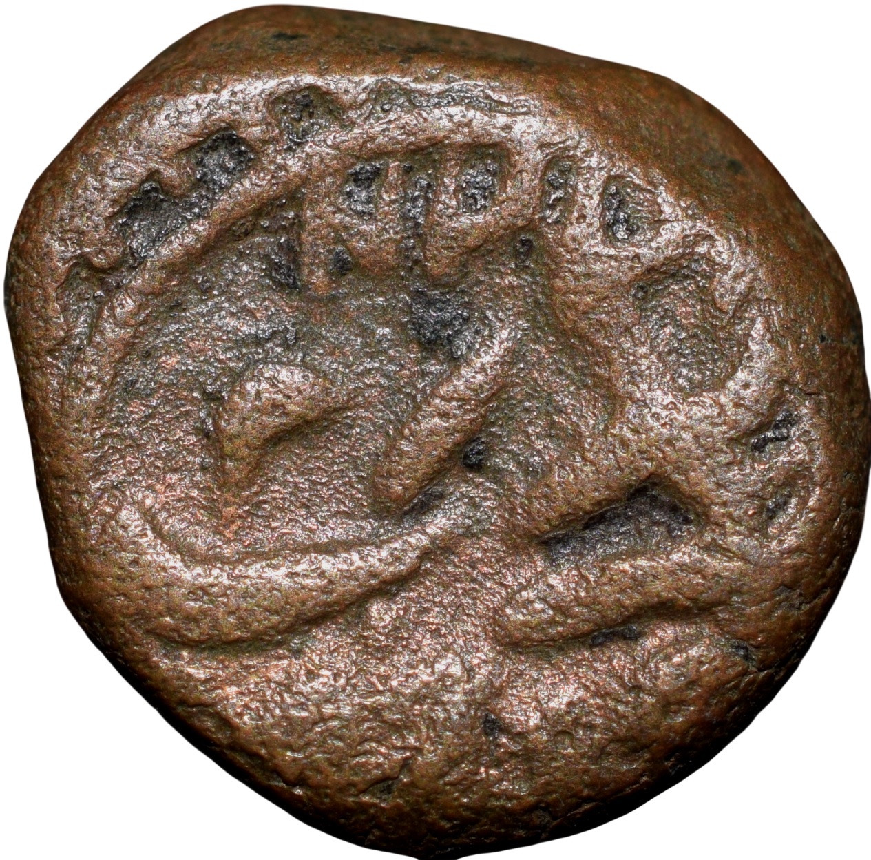 Copper 1/4 Paisa of Tipu Sultan(AD 1787-99) of Mysore Kingdom Faiz Hisar Mint
