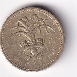 United Kingdom 1 Pound 1990 - Elizabeth II 3rd portrait; Welsh Leek Commemorative issue Rare Coin #C-61