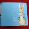 Rare Queen Elizabeth 50 Pence Peter Rabbit Year 2017 UK Proof Coin The Royal Mint - Image 6
