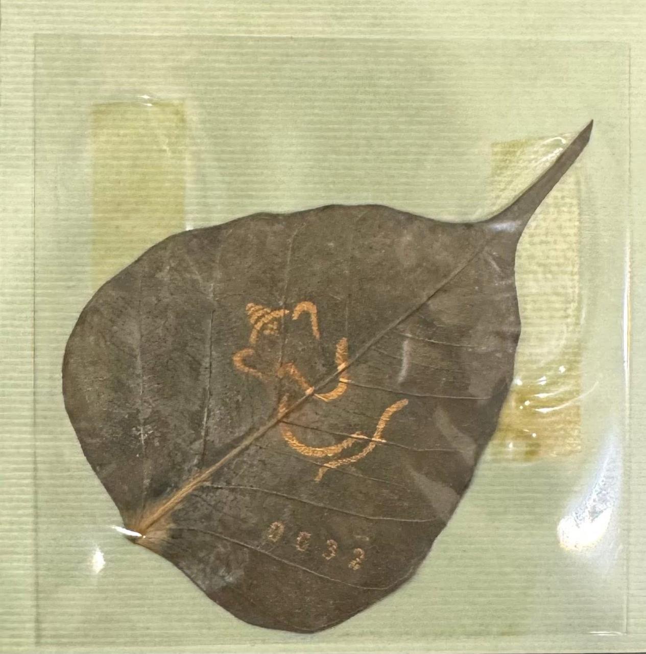 Ivory Coast 1001 Francs CFA Lord Ganesha with Peepal leaves Commemorative issue Rare Coin Set Unique and Rare - Image 3