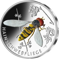 Germany 5 euro 2024 "Hainschwebfliege" Rare Coloured Coin C-131