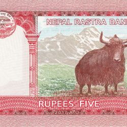 5 Rupees of Nepal Country (AD 2024) with Wild Yak, Limi Himal of Humla