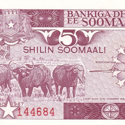 5 Shillings of Soomaaliya (AD 1987) with Cape Buffalo herd/Banana plantation UNC Grade Rare